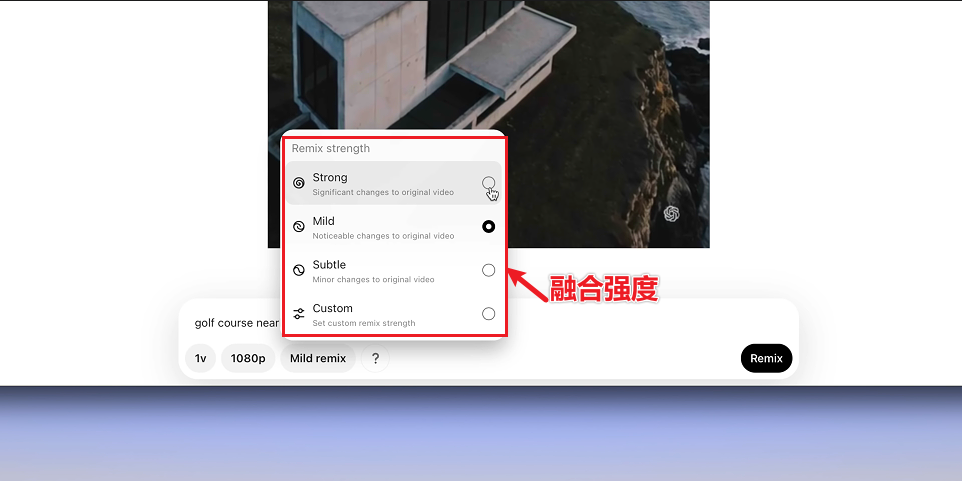 image-20241210144717795